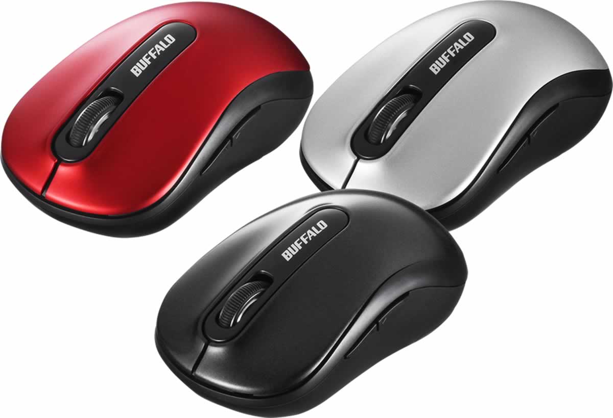 BSMBW310